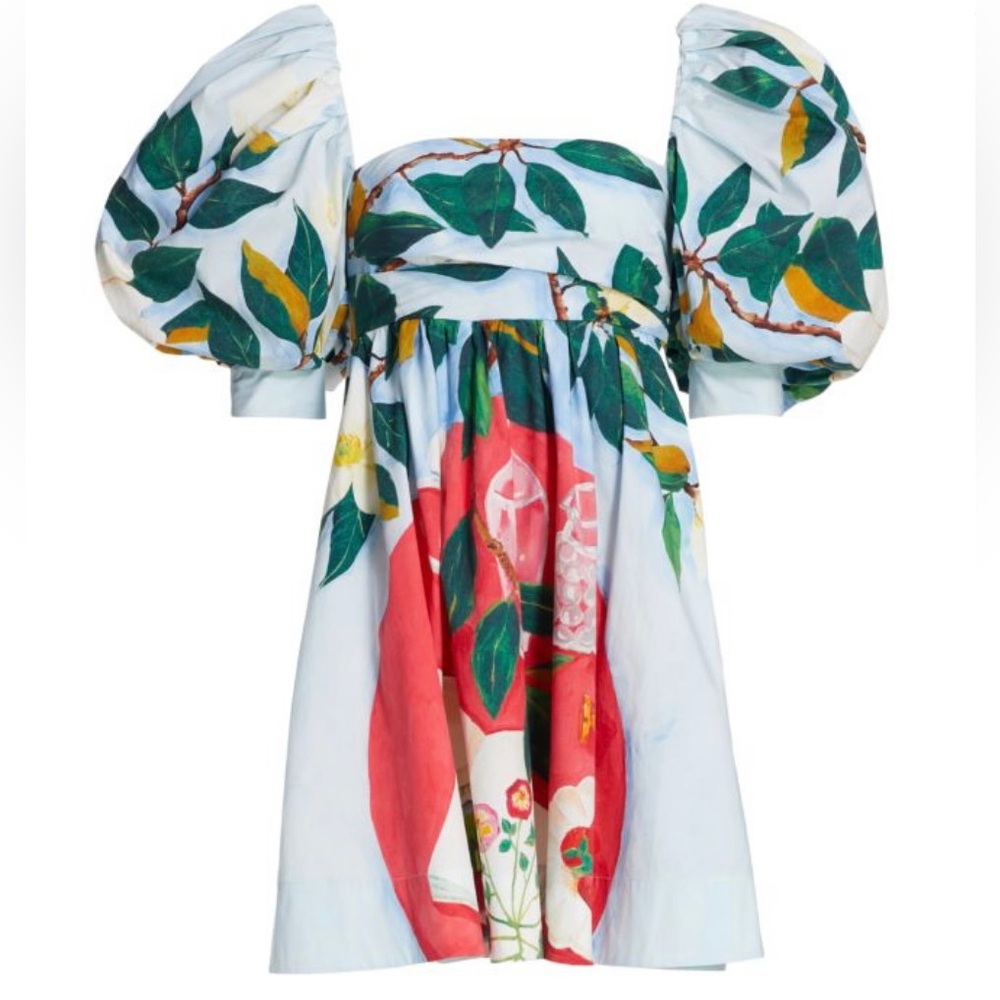 NWT Oscar de la Renta puff sleeve dress sz 8